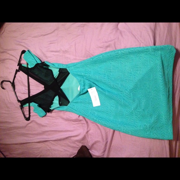 Jade lace dress - Picture 2 of 4