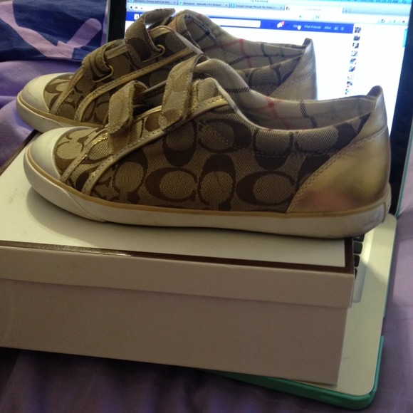 Coach shoes
