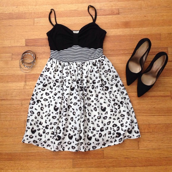 Black, Stripes & Cheetah! Oh My!! 😻