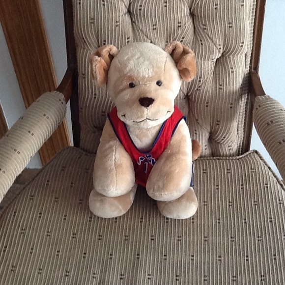 Like new dressed up puppy