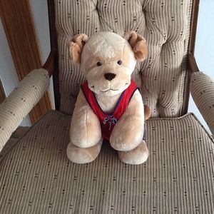 Like new dressed up puppy