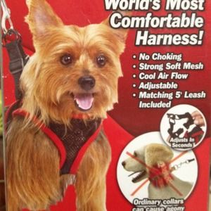 New harness for a small dog