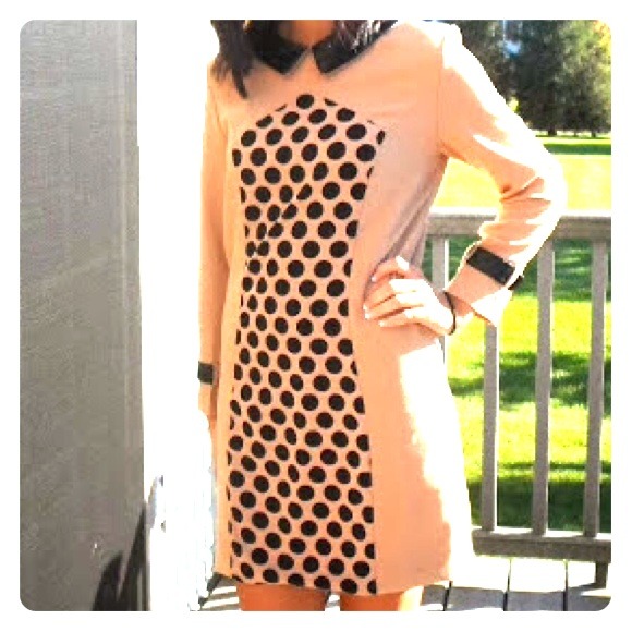 SALE! Collared Polka Dot Dress