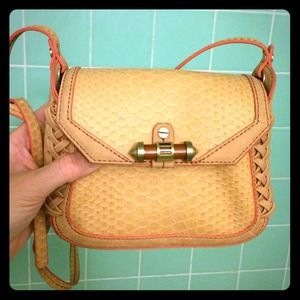 Rachel Roy cross-body bag, tiny!