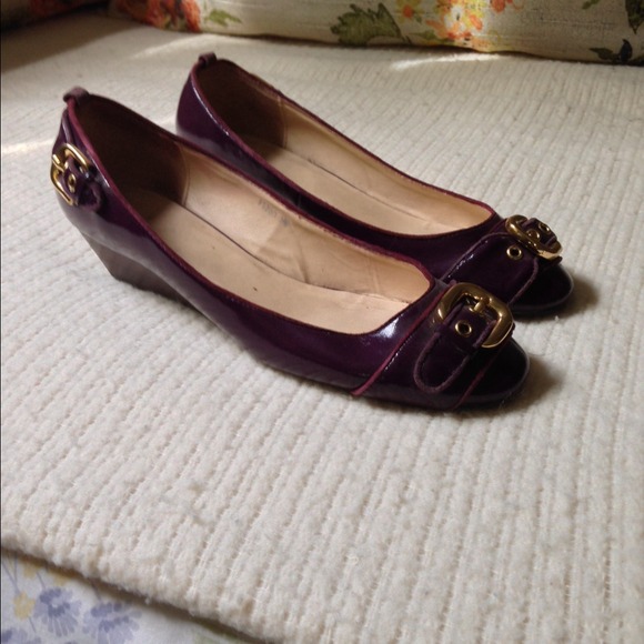 Purple Wedges