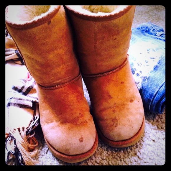 Classic short ugg boots