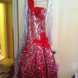 Prom/pageant dress