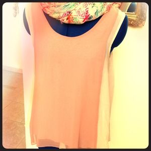 Sheer Blush Top