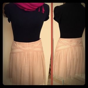 Blush Mesh Skirt - BB Dakota