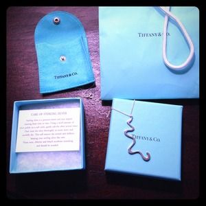 Tiffany & Co. Frank Gehry sterling silver necklace