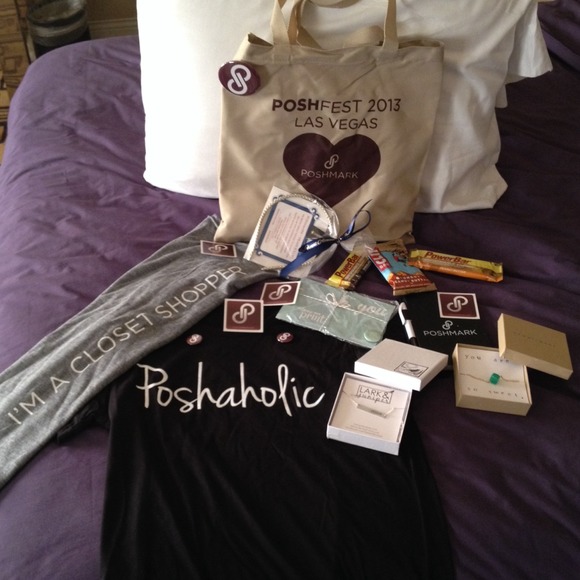 Poshfest - Picture 3 of 4