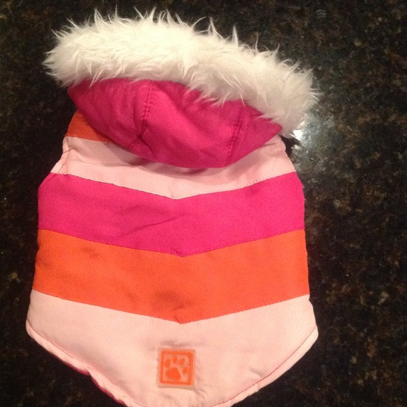 Dog clothes