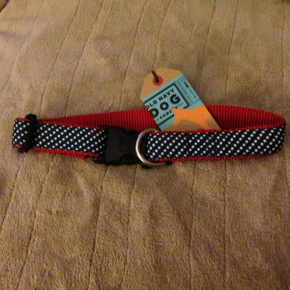 Dog collar for the American pooch 🐶