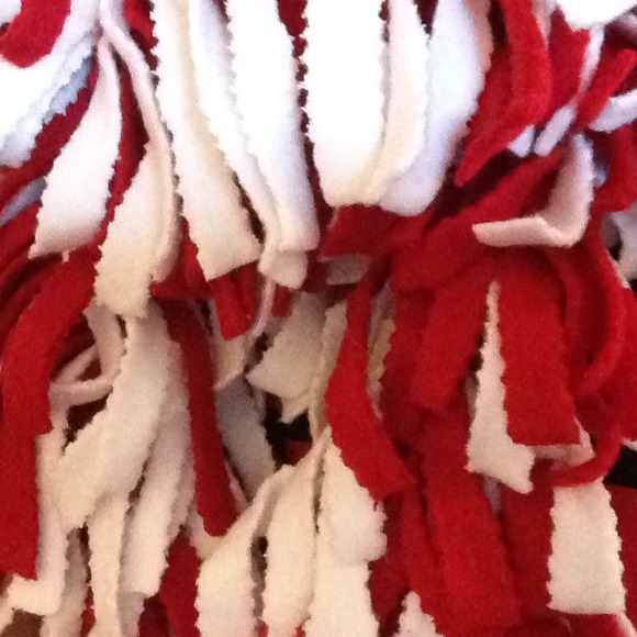 Team Scarf! - Picture 4 of 4