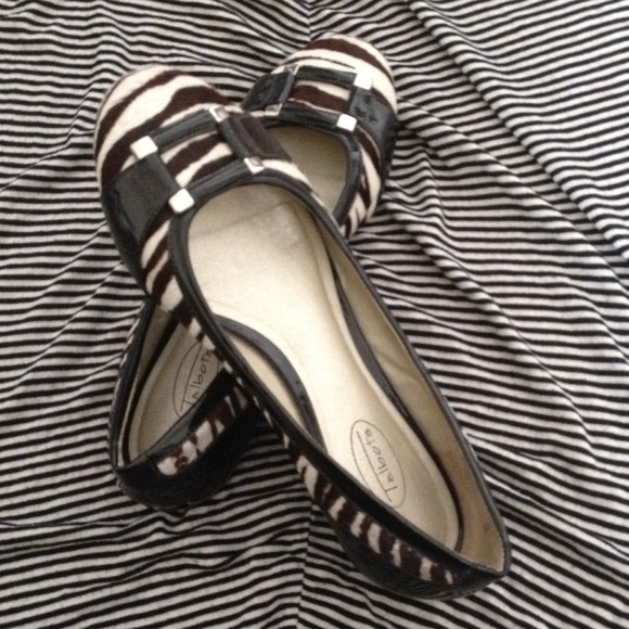 Zebra print Talbots
