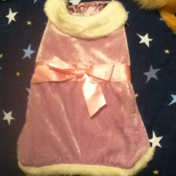 Dog jacket - Picture 2 of 3