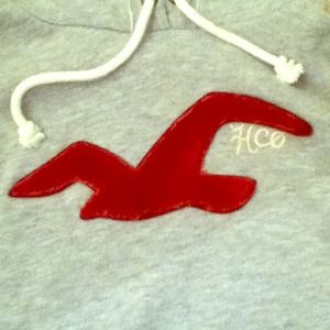 Gray Hollister Hoodie