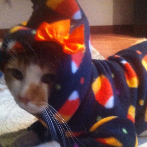 BUY FOR NEXT YEAR!! dog/cat fleece with candy corn