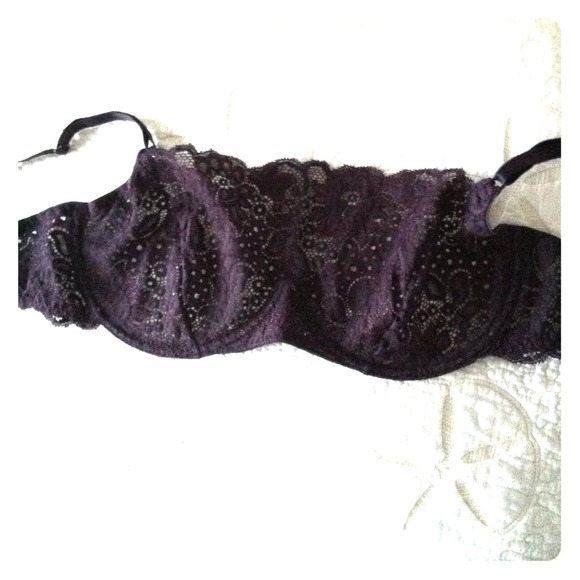 Deep Purple/Eggplant Lace Bandeau Bra