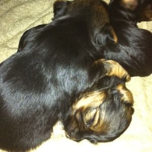 Not for sale. Please buy all the items I listed.