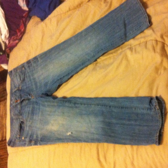 American eagle artist Capris