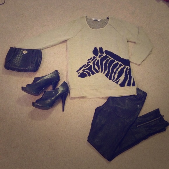 ⚡️Flash Sale⚡️Zebra Graphic Sweater