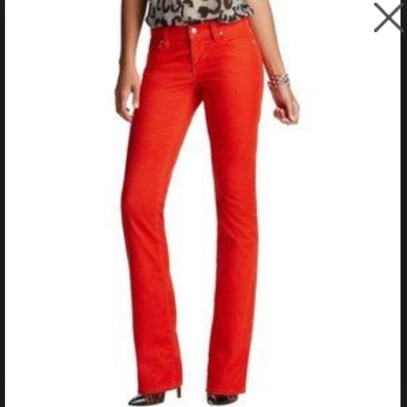 Orange Corduroy Curvy Boot Loft Pants - Picture 4 of 4