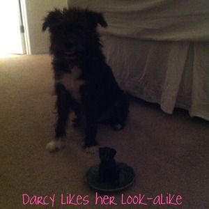 ❌Not for Sale. Just sharing!