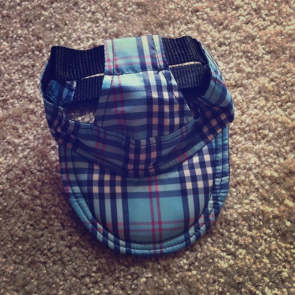BLUE DOG HAT