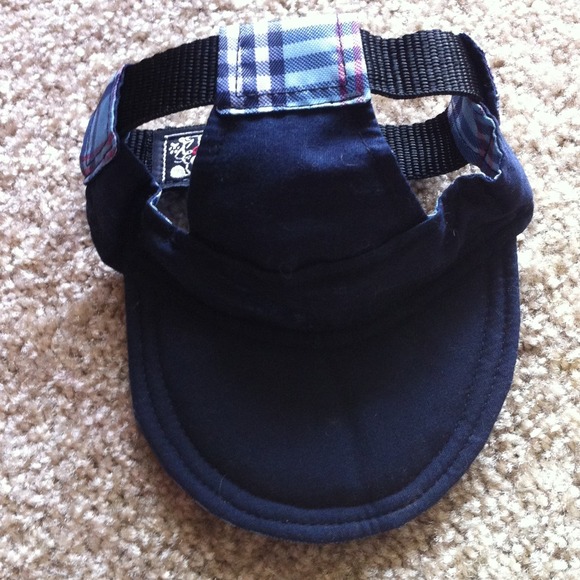 BLUE DOG HAT