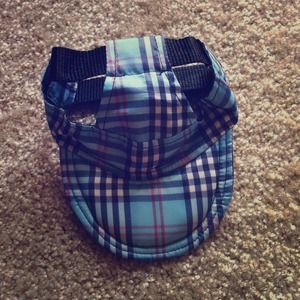 BLUE DOG HAT
