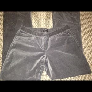 The Limited- velvet/velour dress pants