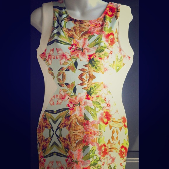 New & Unworn Flower Dress
