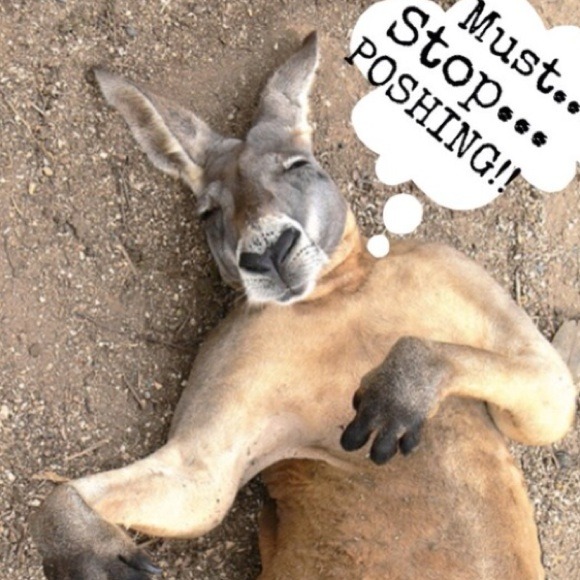 If this is the first post I'm snoozin - Picture 1 of 3