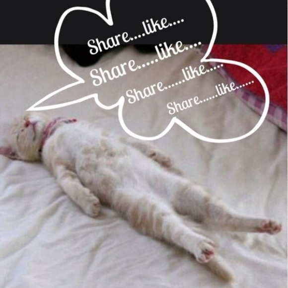 If this is the first post I'm snoozin - Picture 2 of 3