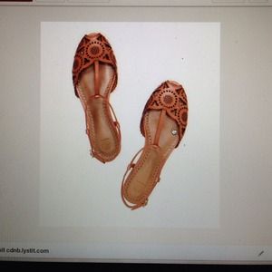 Looking for Tory burch flat sandals