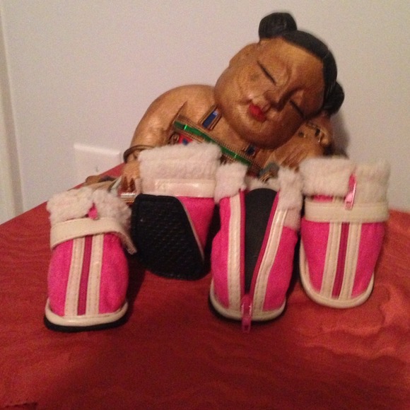 Pup Crew dog booties