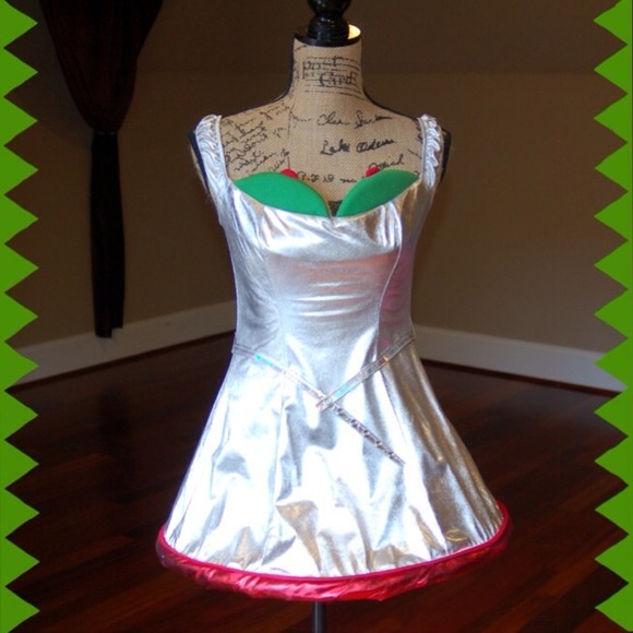 Dreamgirls Dresses Cute Dirty Martini Costume Poshmark