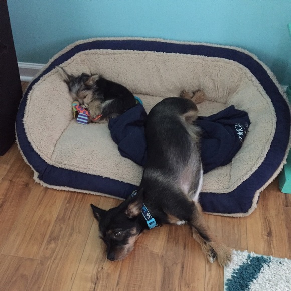 MEET YOUR SELLER!!! - Picture 4 of 6