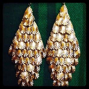 🌺Long silver dangle earrings🌺