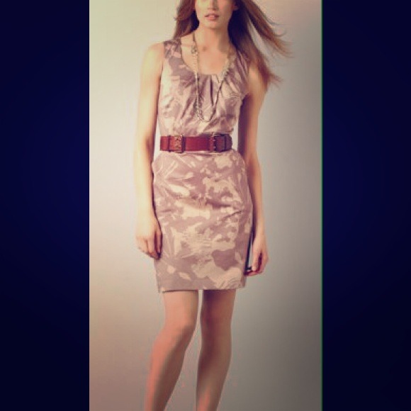 Ann Taylor LOFT Mauve Shift Dress Size 4