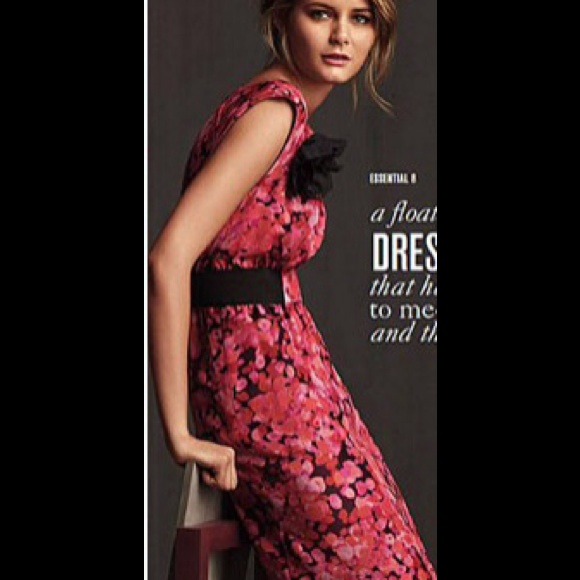 Ann Taylor LOFT red floral fall dress size 4