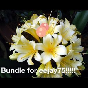 Bundle for eejay75!😘