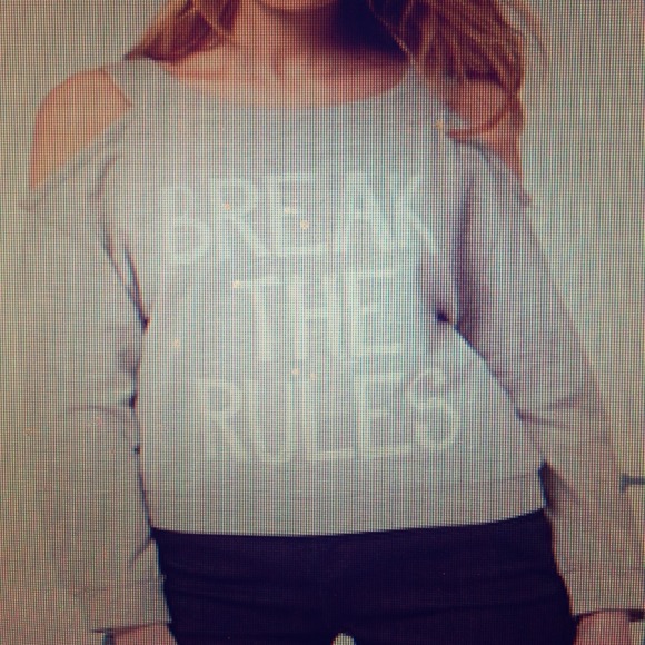 🎉HP🎉 Break the Rules sweatshirt sweater