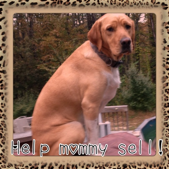 Not for sale!! - Picture 1 of 1