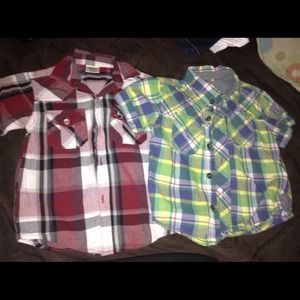 Bottom down toddler shirts
