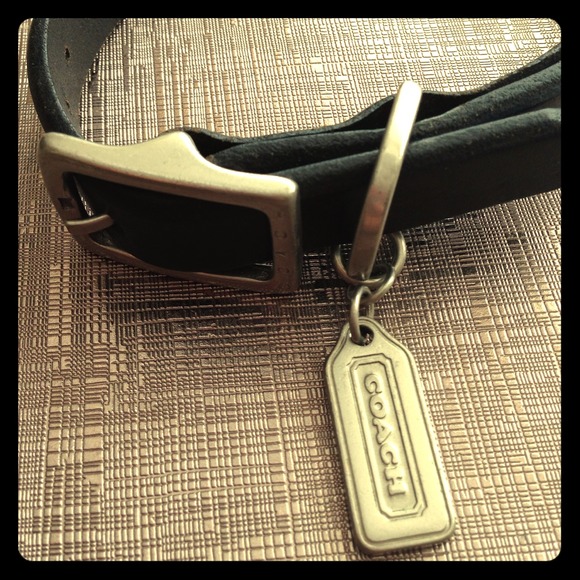 🐶💯COACH dog collar💯🐶