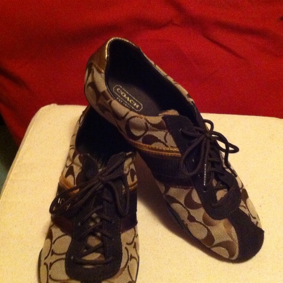 JUST REDUCED for Election Day!