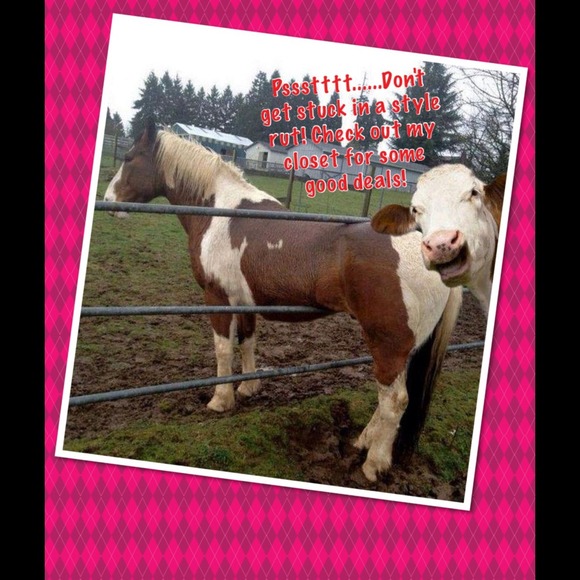 Clothes, jackets, shoes, boots, etc. - Picture 1 of 1