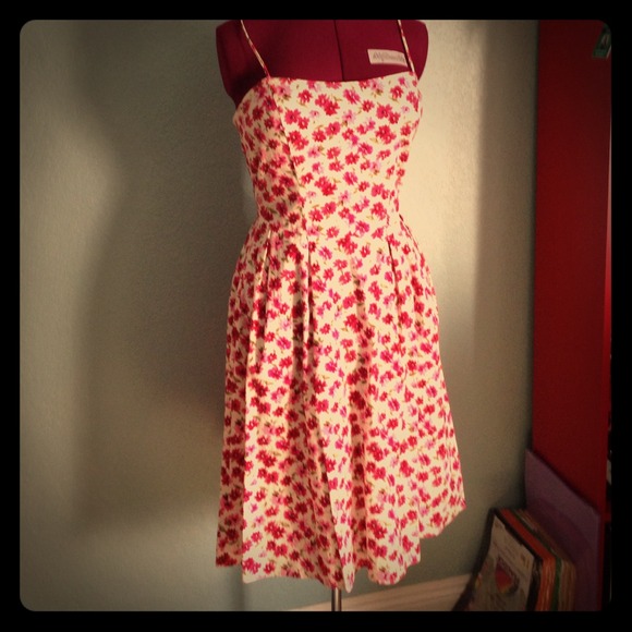 Windsor Vintage inspired Dress